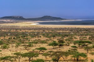 Abijatta-Shala Lakes National Park