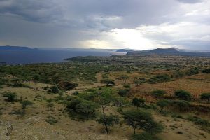 Abijatta-Shala Lakes National Park2