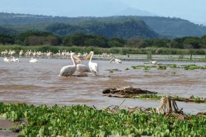 Arba Minch & Rift Valley Lakes