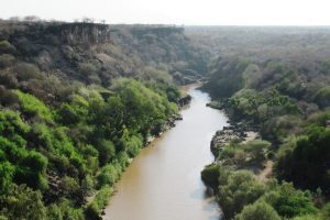 Awash National Park