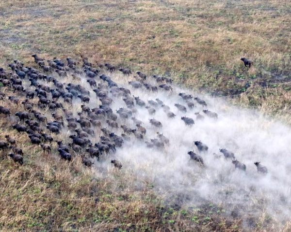 Gambella National Park