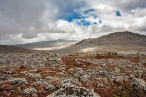 The Bale Mountains1