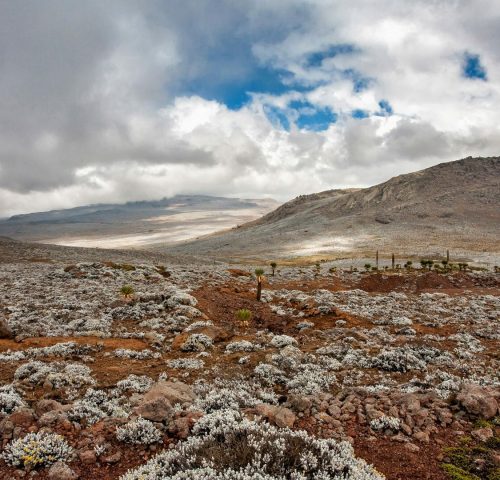 The Bale Mountains1