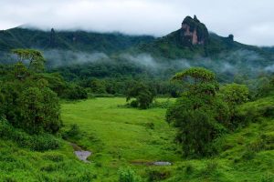 The Bale Mountains2