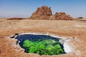 Geological curiosity in the Ethiopian desert. (Wuthrich Didier / Shutterstock)