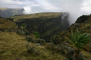 The Simien Mountains4