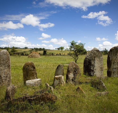 Tiya-Stelae-Field